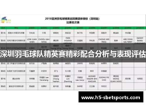 深圳羽毛球队精英赛精彩配合分析与表现评估