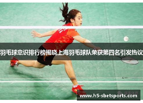 羽毛球意识排行榜揭晓上海羽毛球队荣获第四名引发热议